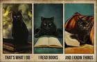 SIGNCHAT плакат для чтения с черной кошкой, это то, что я делаю, я читаю книги и я знаю вещи, плакат, домашний декор, металлический знак для ванной комнаты