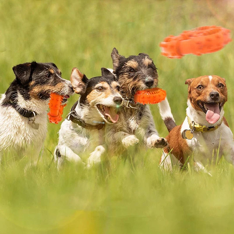 

Dog Chew Toys Rubber Dog Bite Toys Chew Resistant Circle Pet Toy Pet Products FP8