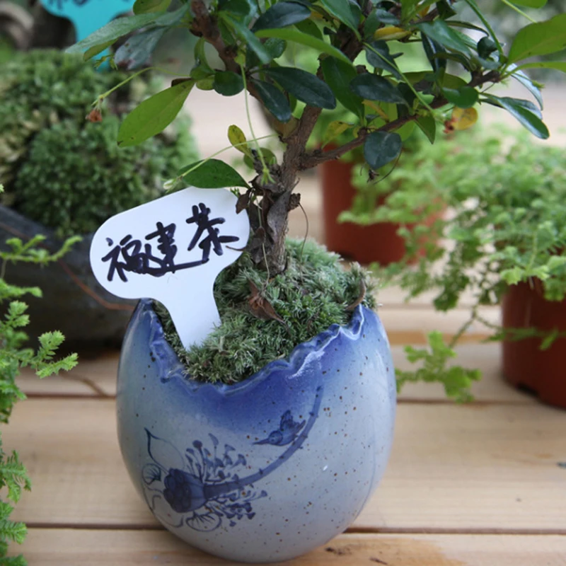 30 шт. пластиковые ярлыки для цветочных горшечных растений | Дом и сад