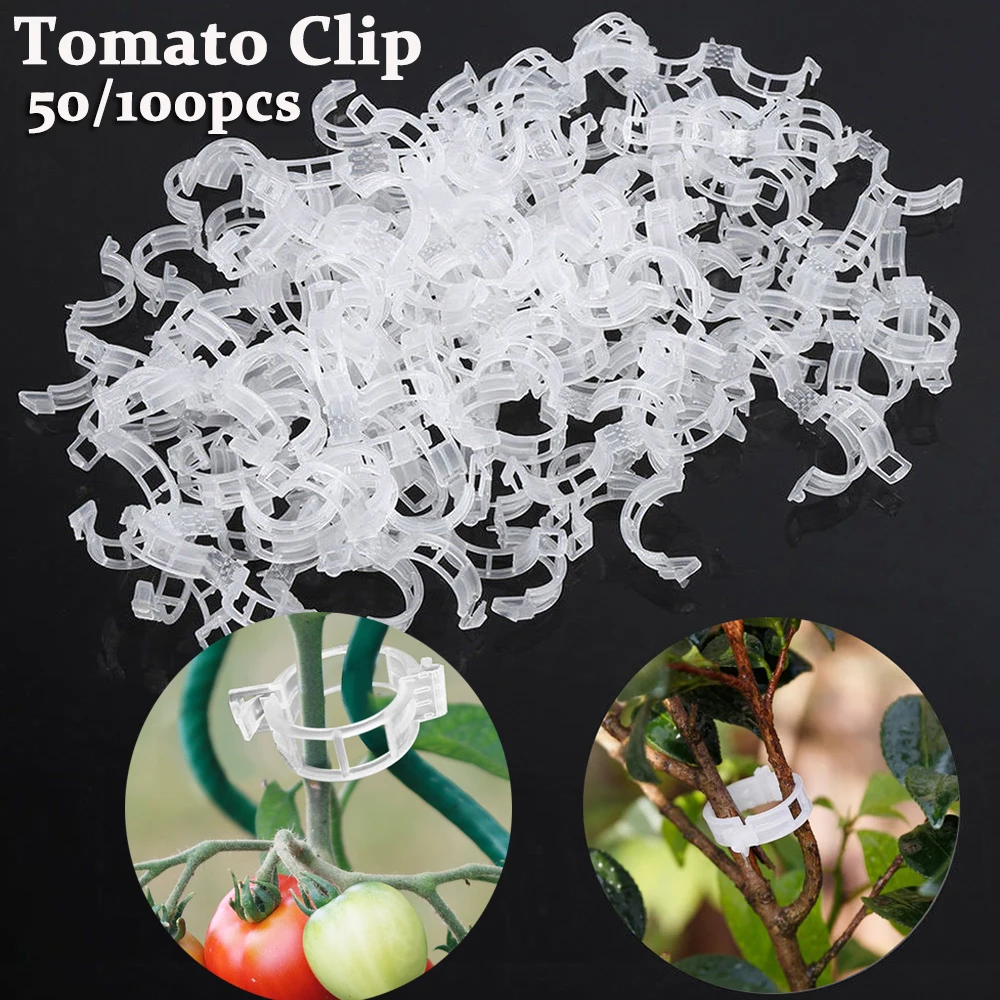 

50 100Pcs Tomato Vegetable Garden Plant Support Clips Tomato Clip Plant Clip Tied Vine Clip Vegetable and Fruit Holder