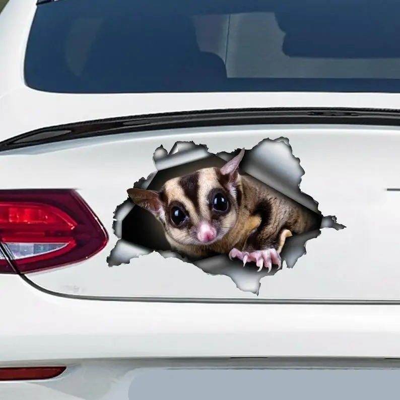 

Sugar Glider car decal, Sugar Glider magnet, Sugar Glider sticker, pet decal