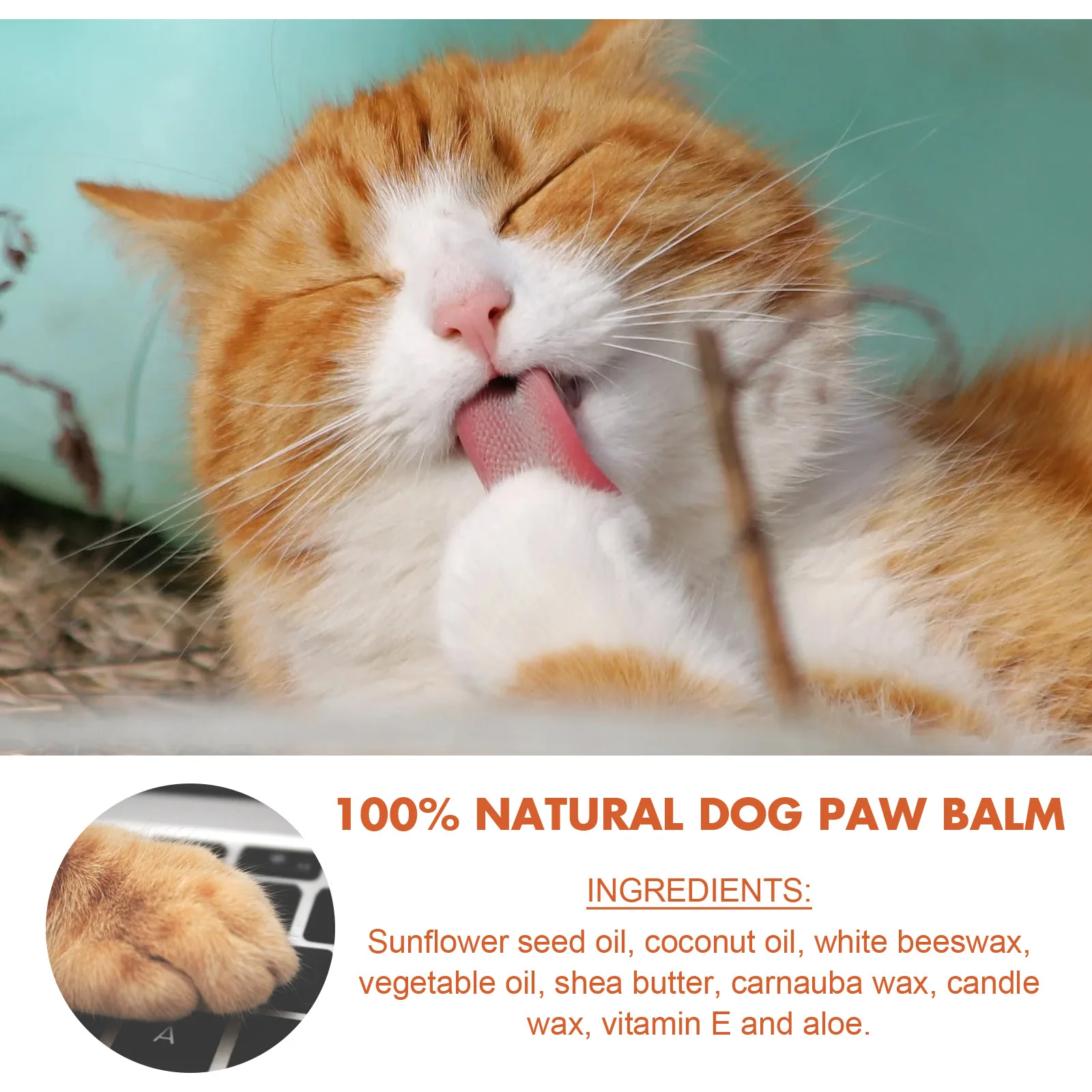 

10/20/30/50g Pet Dog Paw Care Creams Ointment Puppy Dog Paw Care Cream Moisturizing Forefoot Toe Health Pet Products