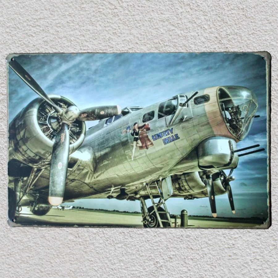 1 шт. самолёт армия США мотивация ад сексуальная свобода Белль Оловянная пластина