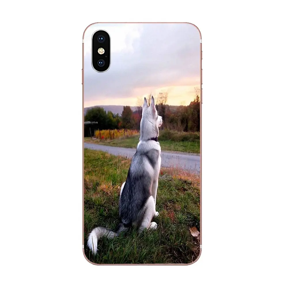 TPU сотовый телефон для samsung Galaxy Note 5 8 9 S3 S4 S5 S6 S7 S8 S9 S10 5G mini Edge Plus Lite Siberian Husky милые
