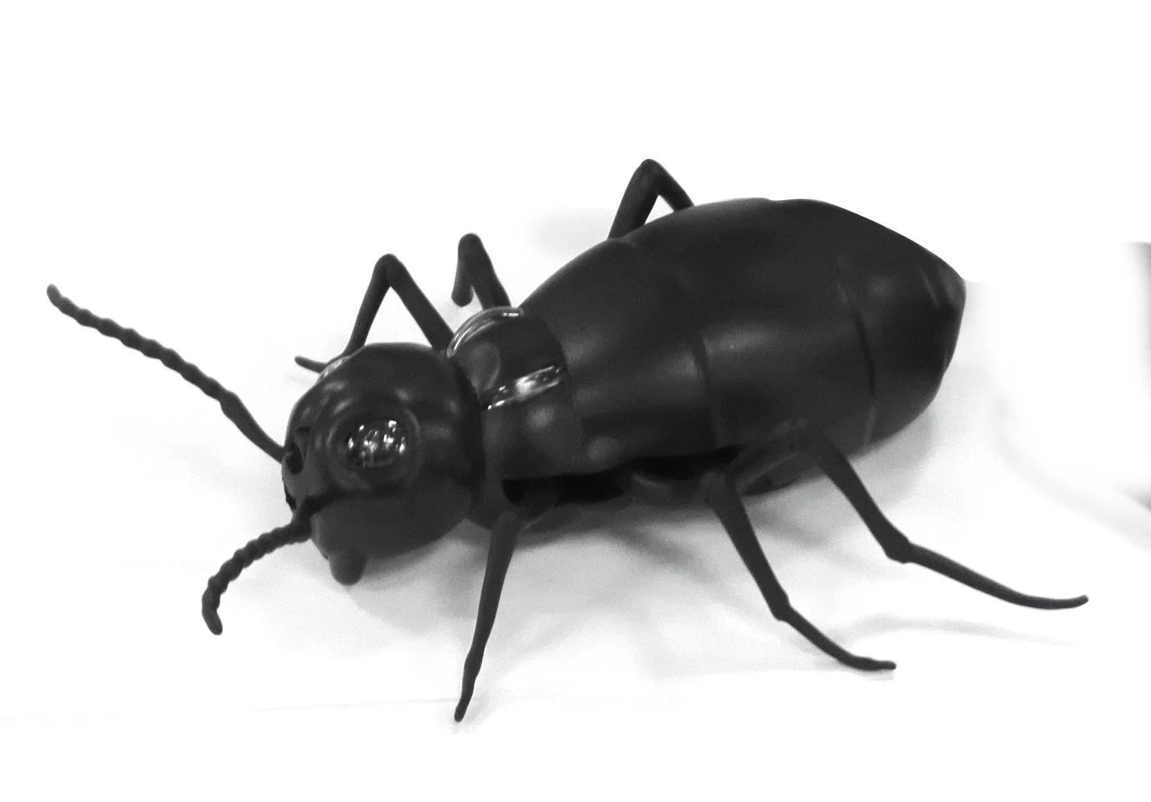 

Insect Infrared Remote Control Ant Remote Control Toys