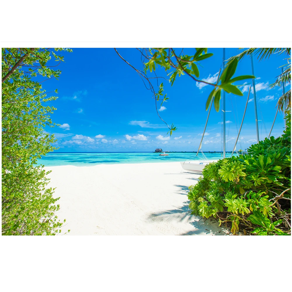 

Цветной настенный гобелен с рисунком Мальдивы, гобелен с пейзажем Декор для спальни, гостиной, фон с рисунком DY78