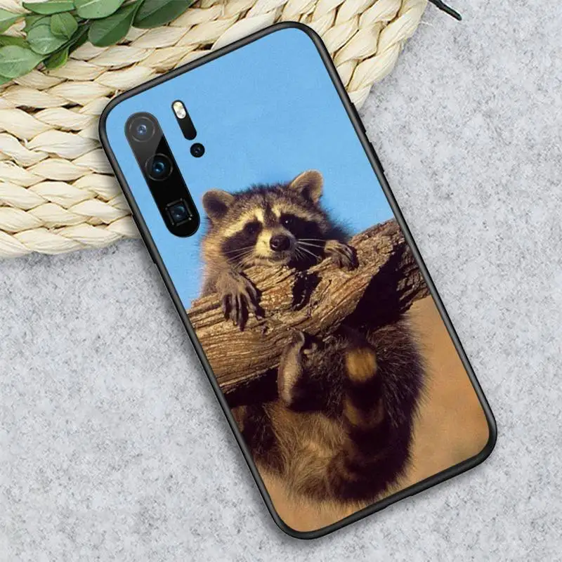 

Raccoon cute animal Phone Case For Huawei honor Mate P 10 20 30 40 i 9 8 pro x Lite smart 2019 nova 5t