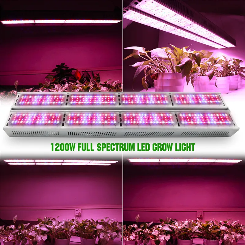 

LVJING LED Grow Light 300W/600W/900W/1200W/1500W Full Spectrum Phyto Lamp for Plants Indoor Greenhouse Veg Grow Tent Double Plug