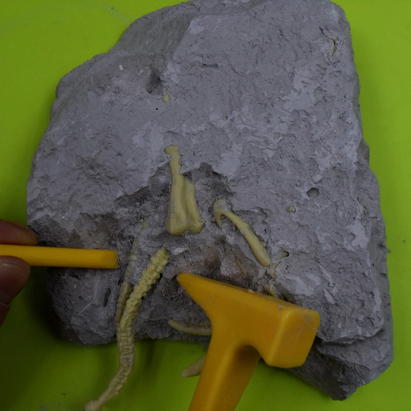 Имитация Динозавра ископаемый потенциал археологические раскопки динозавр