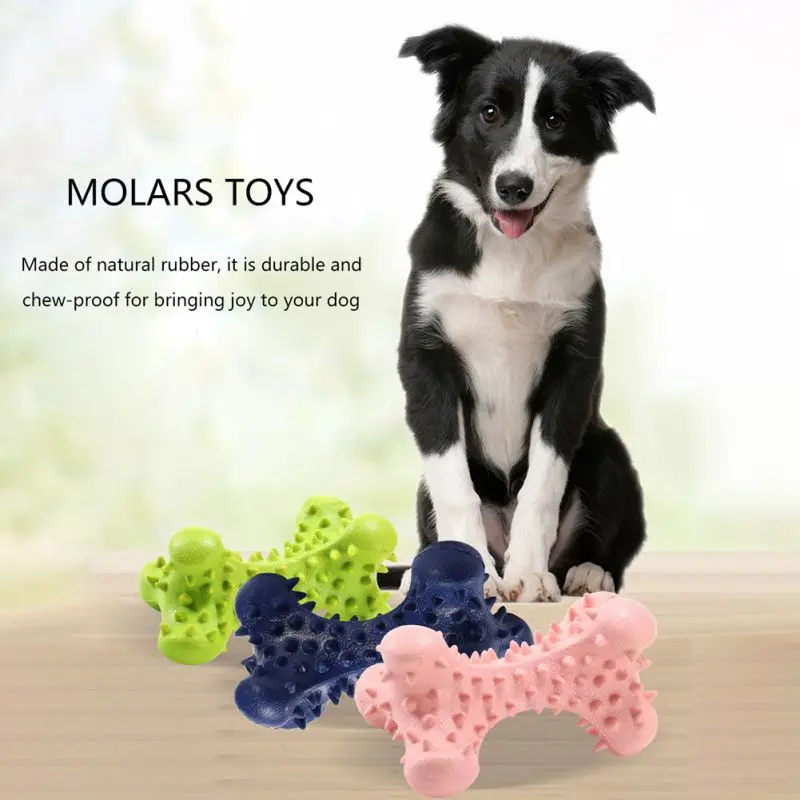 

Игрушки для домашних животных, жевательные игрушки для собак, устойчивые к укусам резиновые кости, игрушки для чистки зубов, моляр, игрушка ...