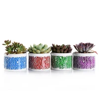 mosaic glassic cement succulent cactus planter set of 4pretty plantsflower pot tiny flower plant containers perfect gift idea