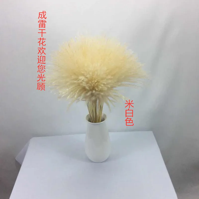 Натуральные пампасы трава Декор цветы сушеные растения свадьба букет Рождество