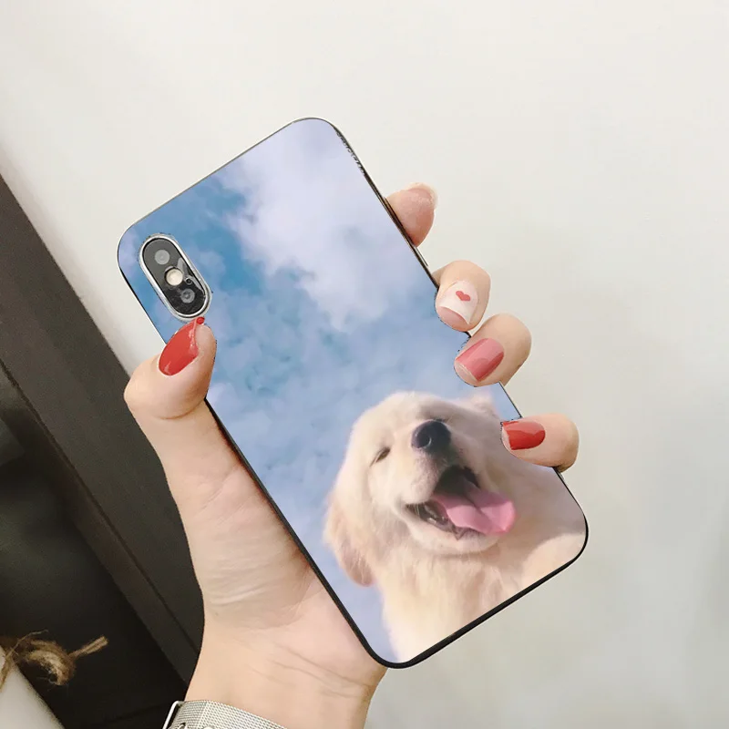 Чехол для телефона Daisy Flower iPhone XR 11 Pro XS Max X 5 5S силиконовый матовый чехол черный iphone 7