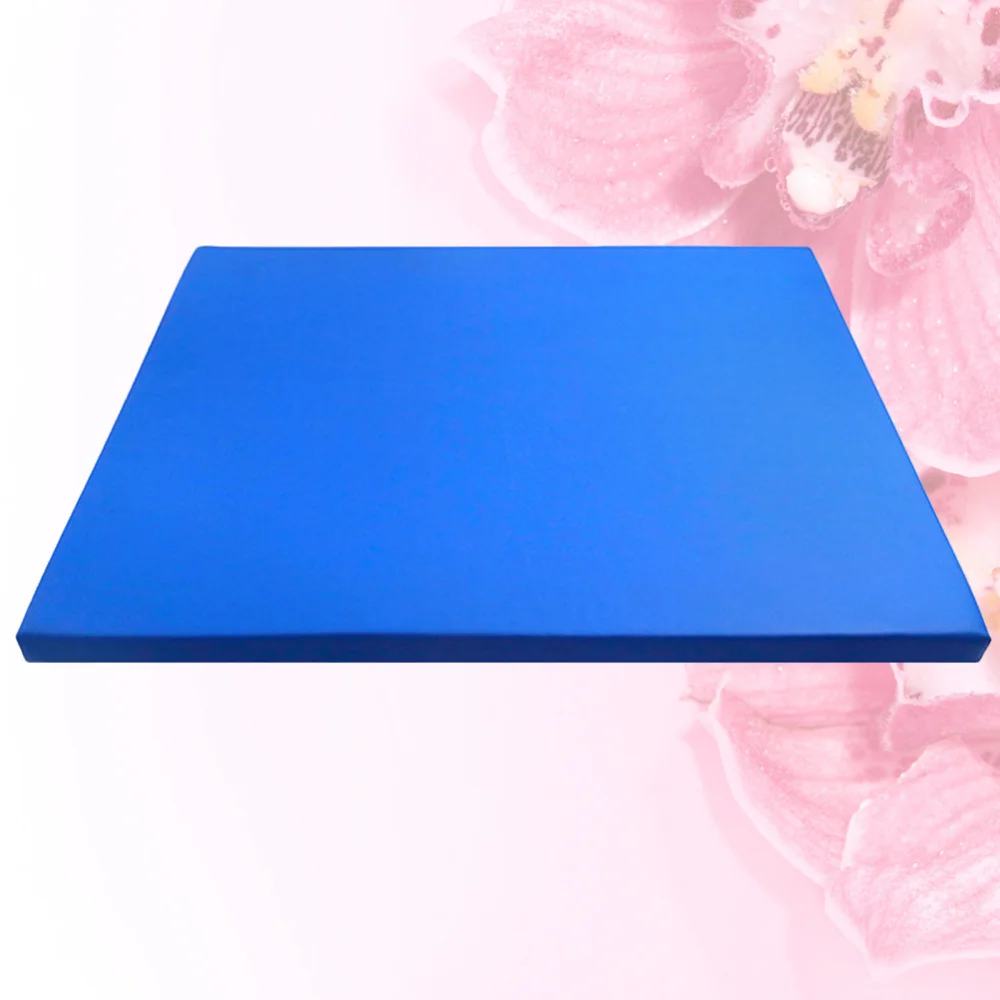 

Sole Disinfecting Mat Sanitizing Floor Mat Sponge Entrance Mat Doormat Entry Rug Size Blue
