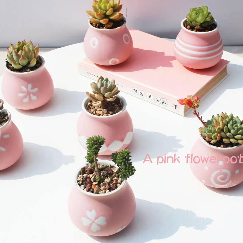 Керамический горшок Sublight розового цвета мясистый цветочный для молодых девушек