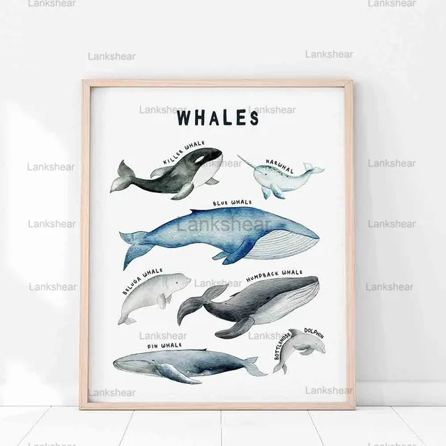 

Whale Shark Nautical Sea Nursery Painting Canvas Poster Animal Art Prints Education Wall Pictures Nordic Kid Baby Bedroom Decor