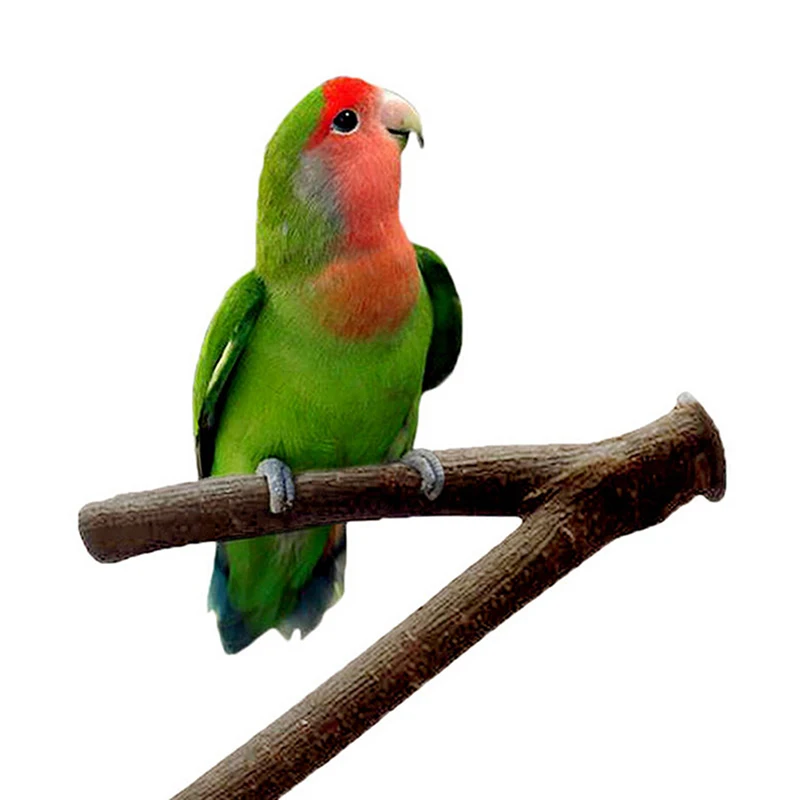 

Pet Parakeet Budgie Hanging Play Toys Bird Cage Bifurcated Wood Branch Stand Perches Parrot Wooden Desk Holder Perches Platform