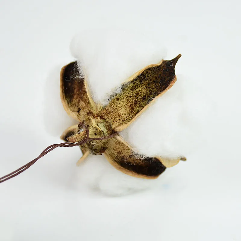 

5/10 Pcs 6cm White Cotton Flowers Head Natural Dried Cotton Artificial Flower Decor For Wedding Home Supplies DIY Craft Wreath