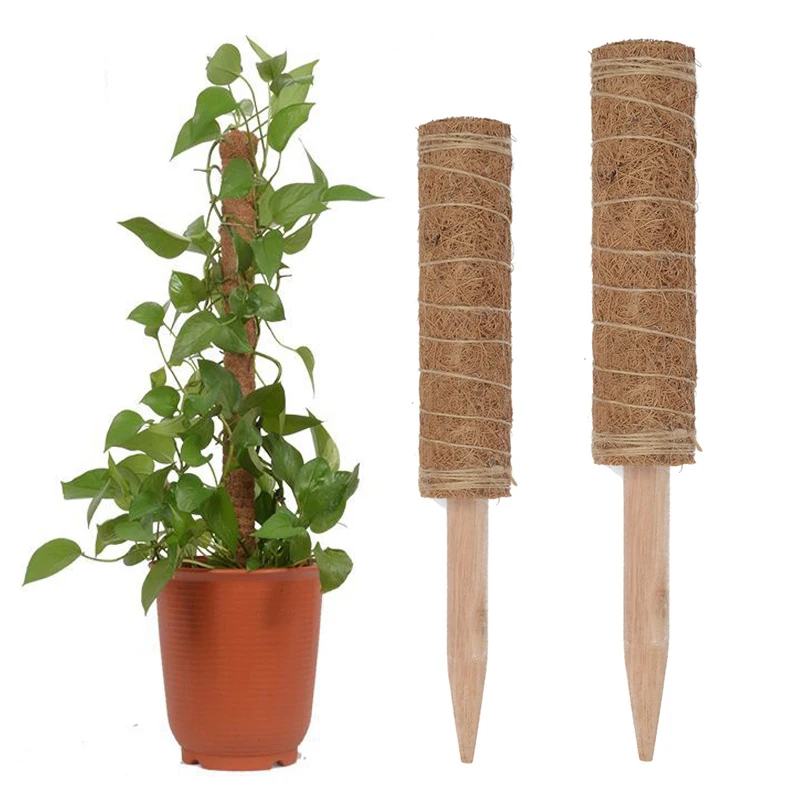 

Support Coir Totem Pole Climbing Plants Stick Office Extension Coconut Fiber Creeper Trelli Frame Maintain Moisture Balcony