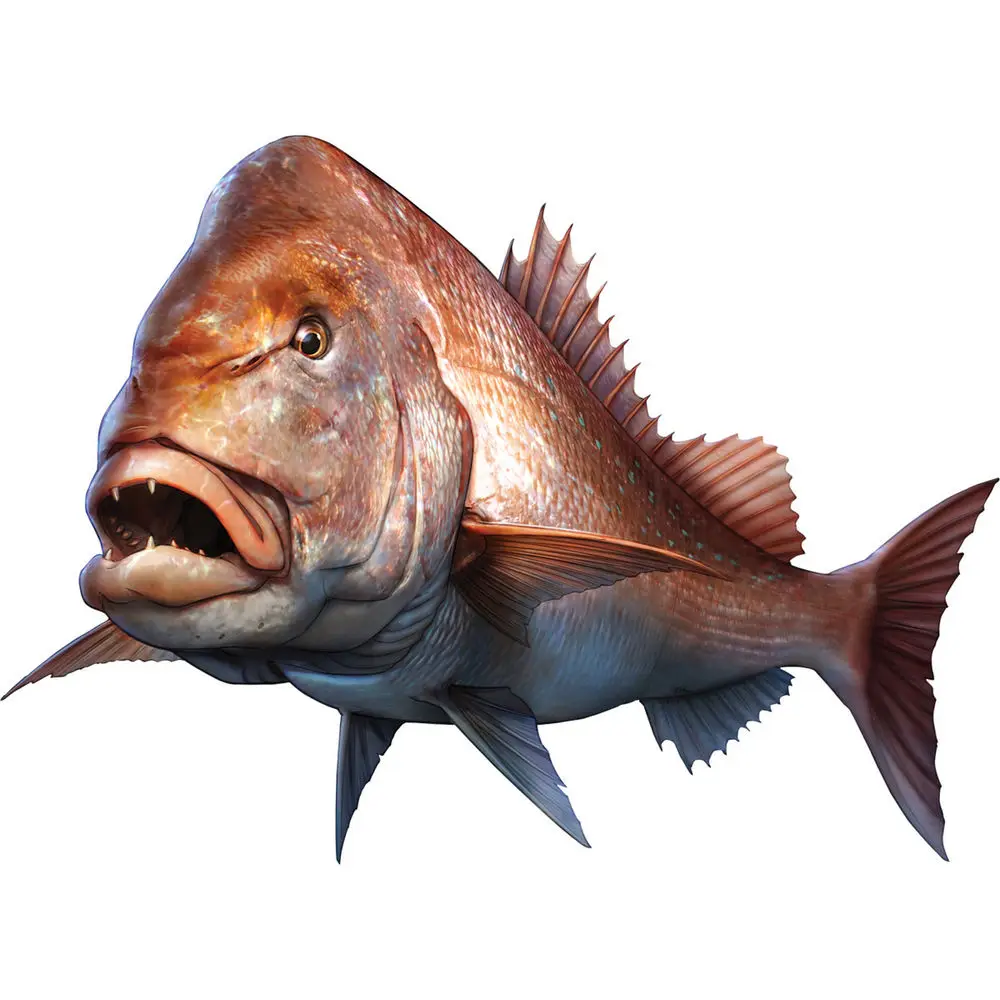 

Aliauto Fashion Car Sticker Large Mouth Bass Fish Fishing Pagrus Major Boat Kayak Automobiles Accessories PVC Decal KK18*14cm