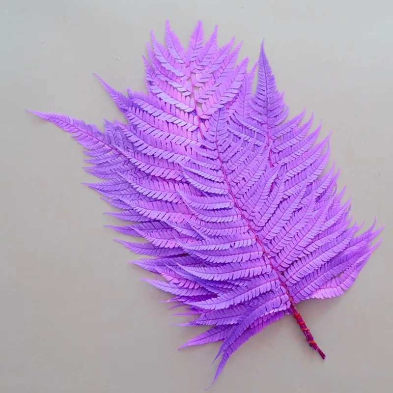 

Pretty Fiddlehead Ferns Dry Natural Fresh Preserved Plant Eternal Arachniodes Leaves Christmas Wedding Decoration Accessories