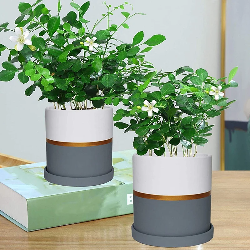 

Round Ceramic Flower Pot with Saucer Matte White and Gray Indoor Flower Pot with Drain Hole