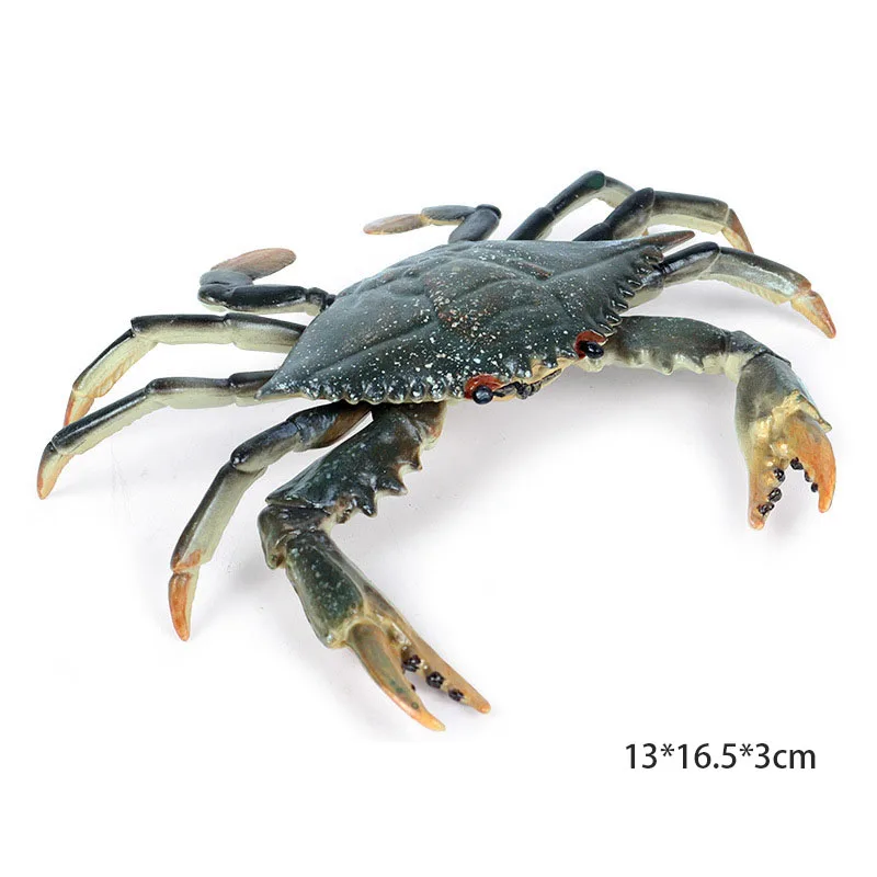 Морская модель животного; изображение морской жизни, фигурка акулы, развивающие животные океана, игрушка для детей, Декор, подарок