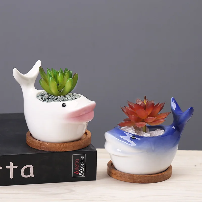 

Creative Ceramics Cartoon Mini Whale Flowerpot Simple Succulent Plant Container Green Planters Small Bonsai Pots Home Decoration