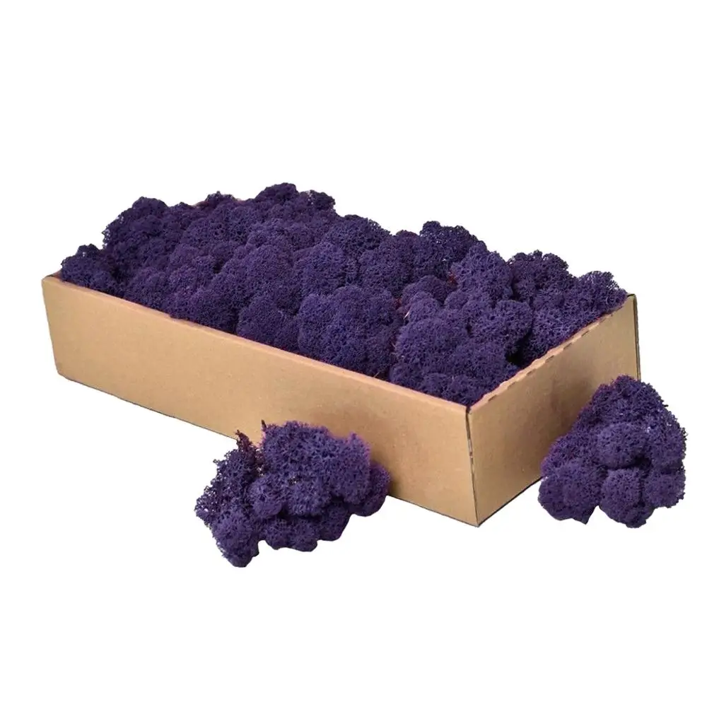 Искусственный натуральный сушеный мох для цветов корзина травы растение