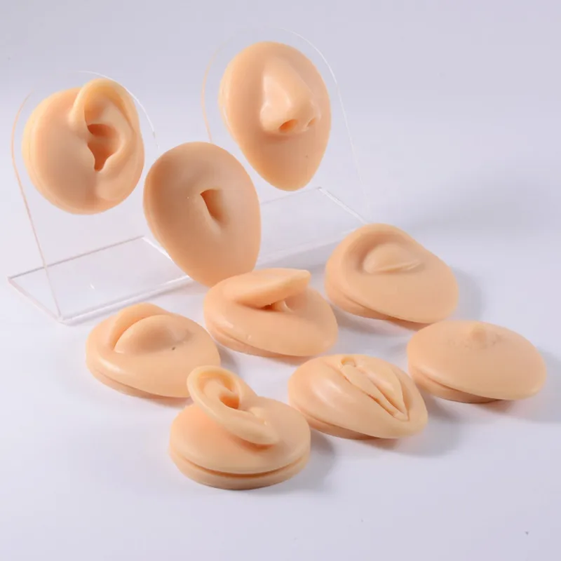 Имитация человеческого тела часть силиконовая модель носа с дисплеем Стенд