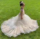 Кружевное платье цвета шампанского с цветочным рисунком для девочек, Пышное Бальное платье для свадьбы, причастия, конкурса, детские платья