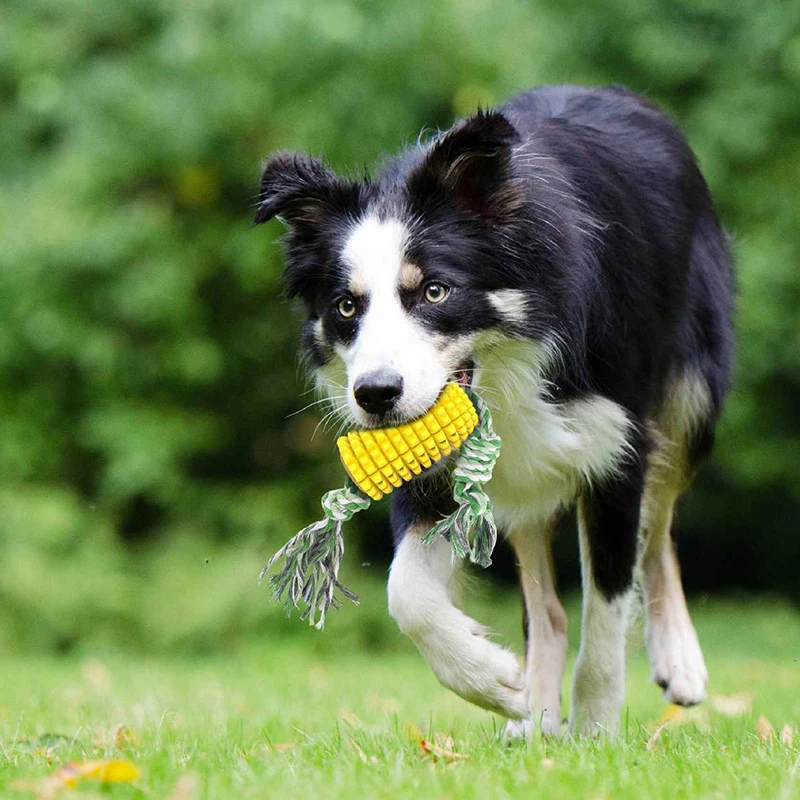 

New Pet Molar Tooth Cleaner Brushing Dog Toys Stick trainging Dog Chew With Rope Toy Dogs Toothbrush Pet Grinding Teeth To Smell