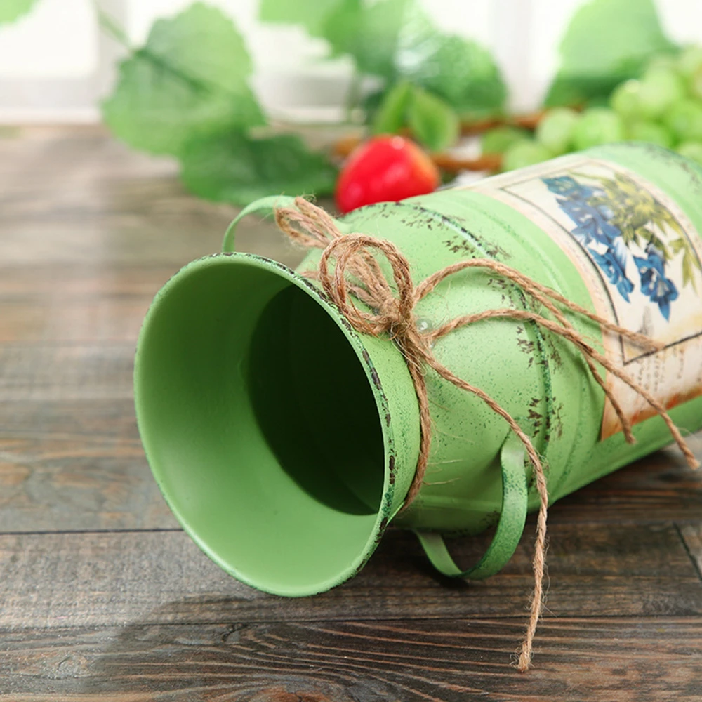 Садовые растения железное ведро дома декоративные горшки композиция ремесла