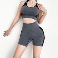 seamless yoga wear womens sports suit running suit quick dry tights yoga pants workout set gym clothing yoga set clothing women