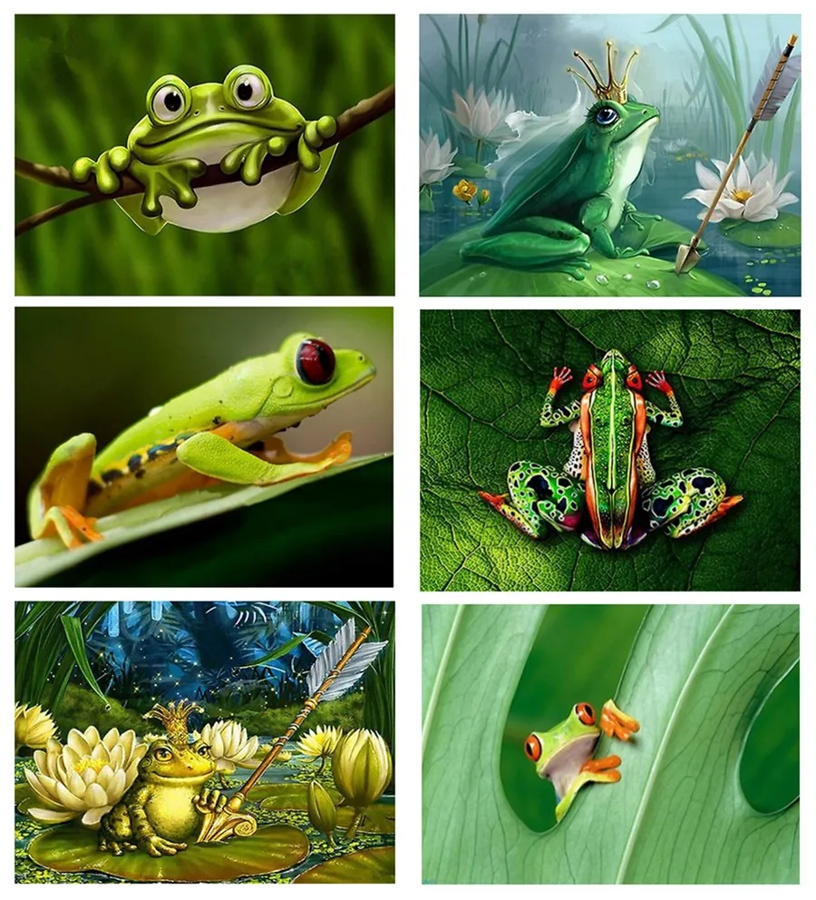 5D DIY Алмазная картина лягушка животное рукоделие живая вышивка крестом стразы