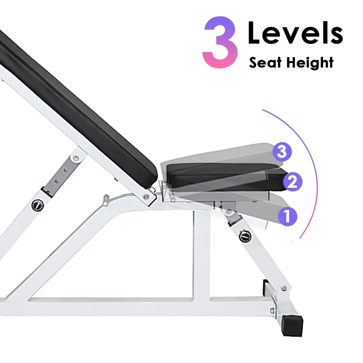 

Dumbbell Bench Fitness Adjustable Household Sit Up Benches Workout Gym Training Equipment Max Weight Capacity of 200Kg AU Stock