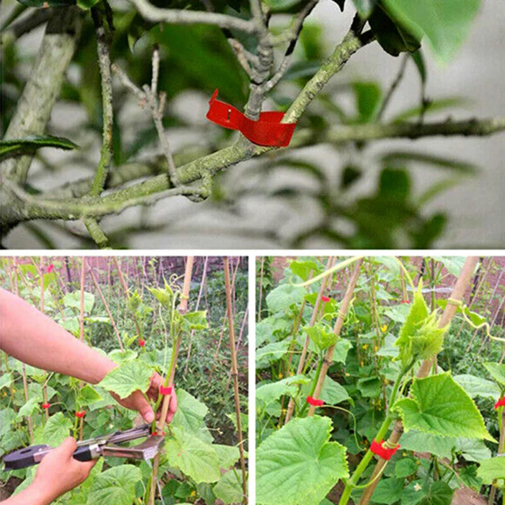 

Garden Plant Tying Tapes 1.1cm*30m Tomato Grape Flower Plant Tying Tape