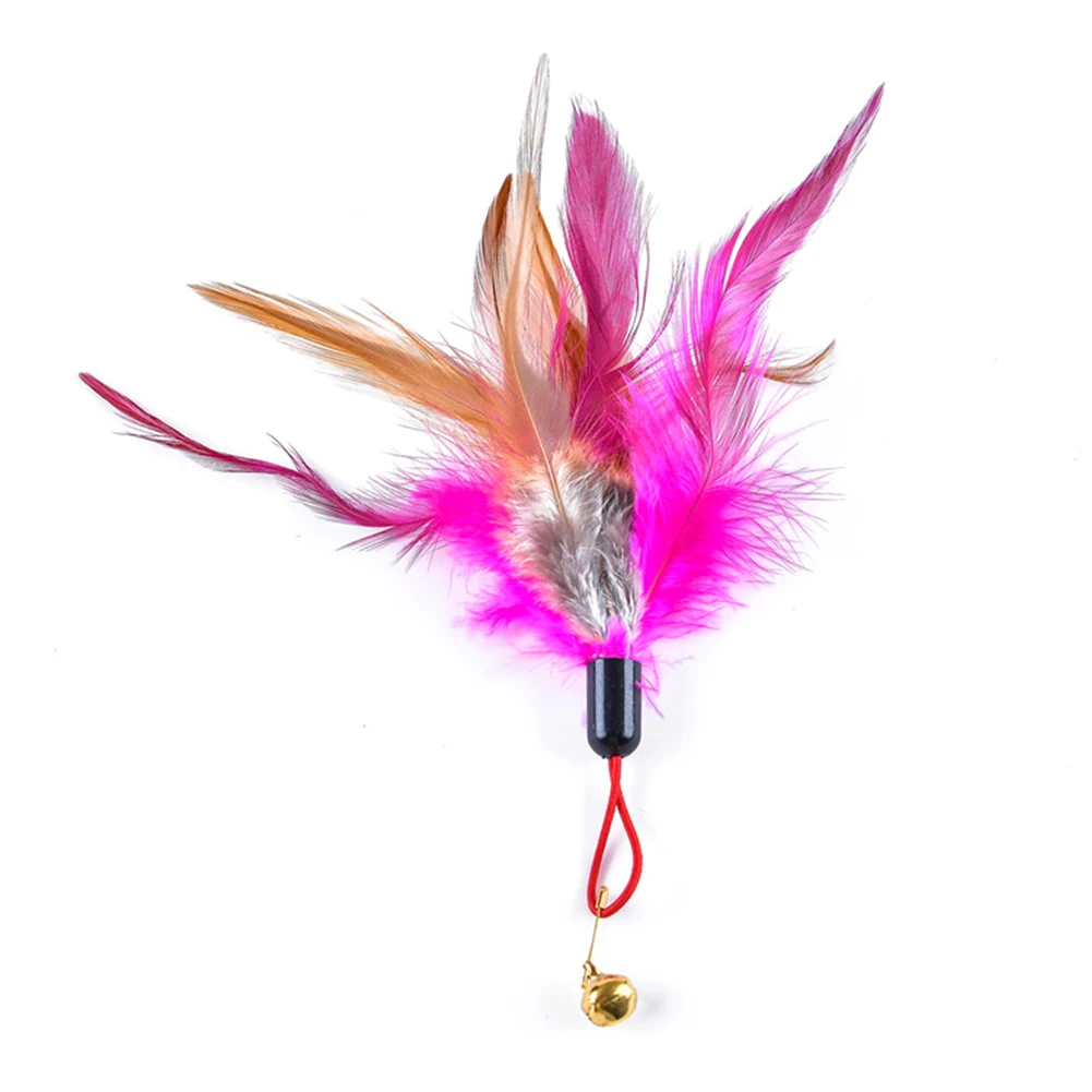 new Pet Cats Feather Bell Play Stick Teaser Replace Head Scratch Interactive Toy | Дом и сад