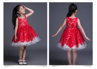 free shipping girls pageant dresses 2015 new crystal flower girl dresses for weddings hot sale first communion dresses for girls