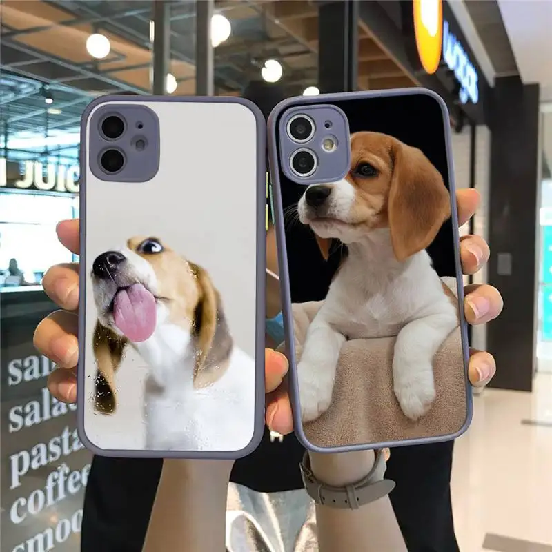 

Beagle Dog Phone Case For iPhone 12 11 Mini Pro XR XS Max 7 8 Plus X Matte transparent Gray Back Cover