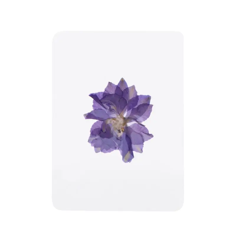 2020 новые смешанные прессованные Цветочные листья технические филлеры для