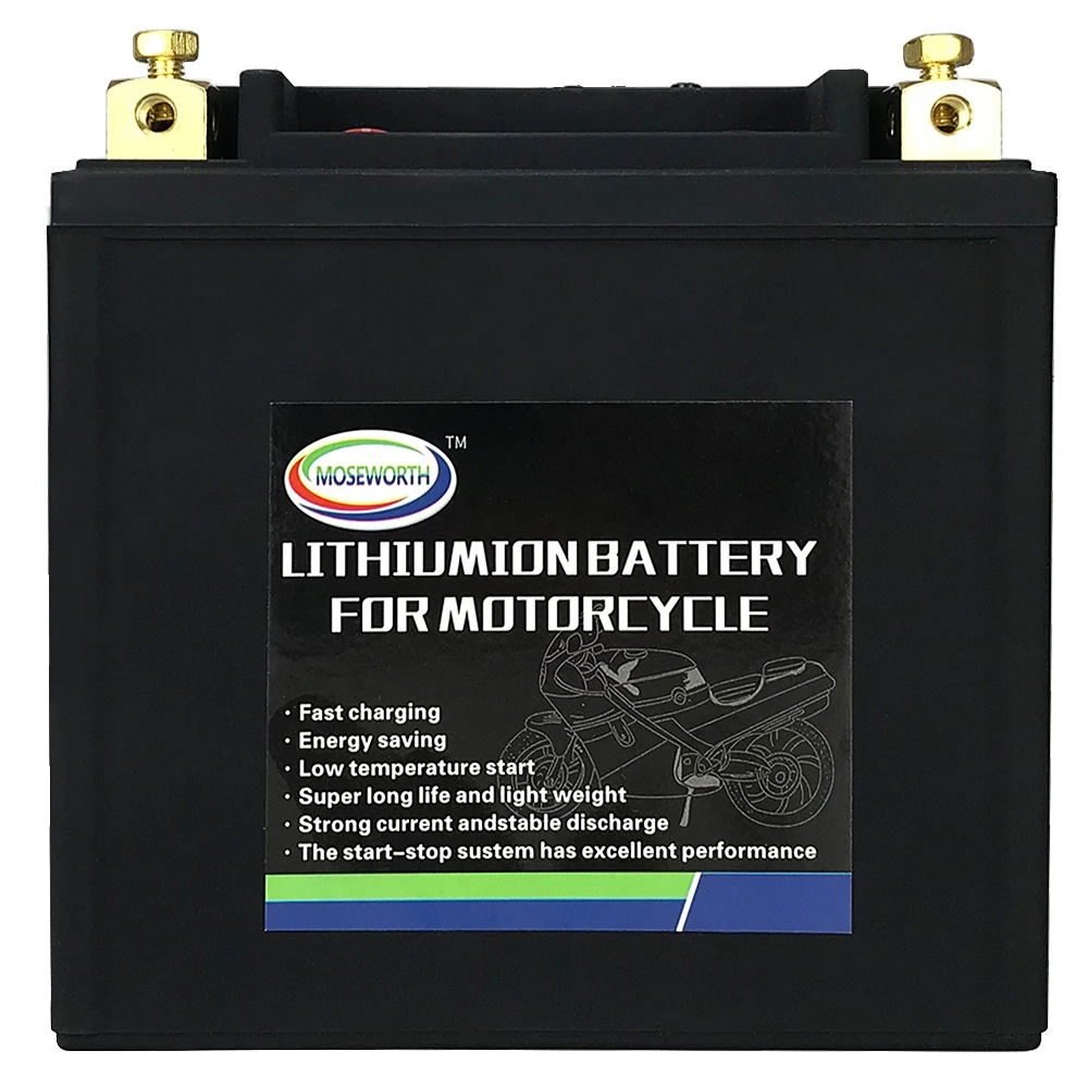 

Lithium iron phosphate Battery LiFePO4 14-BS 12V - BMS Protection Board - Maintenance Free Battery For Motorcycle snowmobile ATV