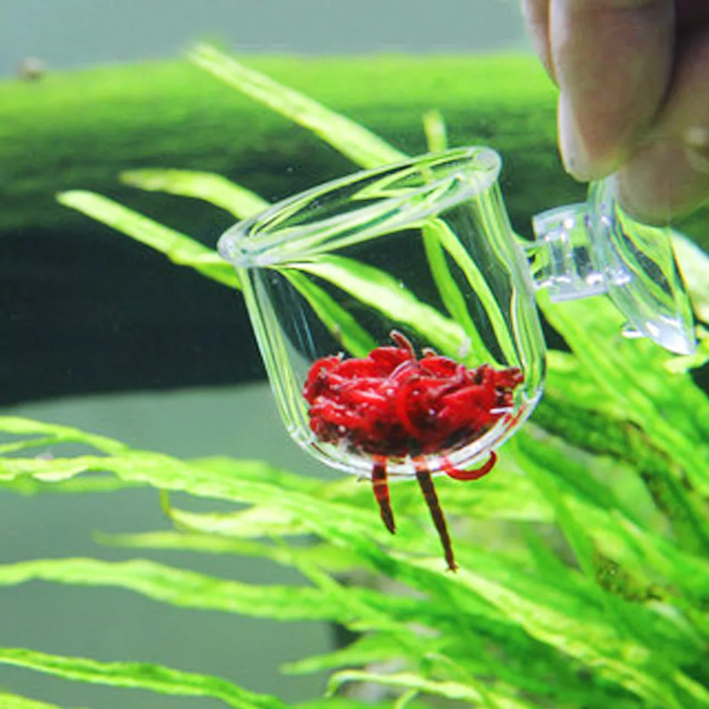Aquarium Cone Red Worm Feeder Acrylic Suction Cups Fish Feeding Cup Transparent Container Holder | Дом и сад