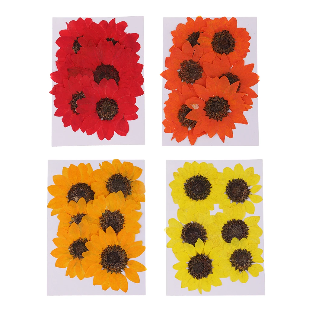 6 штук прессованные Натуральные сушеные цветы Подсолнух для DIY орнамент из смолы