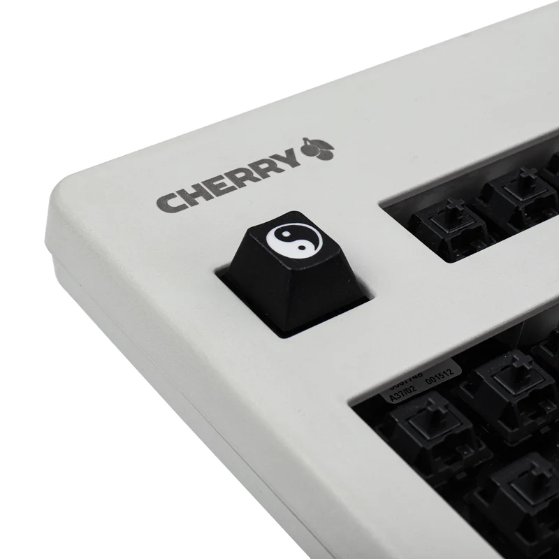 Tai Ji Custom R4 R1 PBT Keycaps Cherry Mx Profile For Mechanical Keyboard Esc F1 1u Artisan Keycap For GK61 SK64 RK87 GH60 Gamer