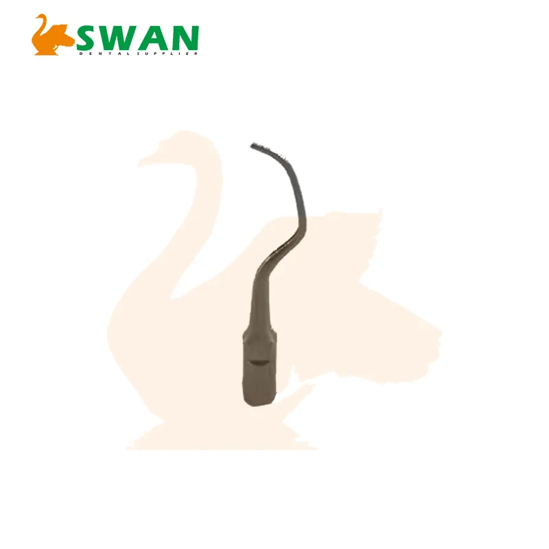 Детали стоматологического аппарата для снятия зубного камня советы Satelec DTE H3