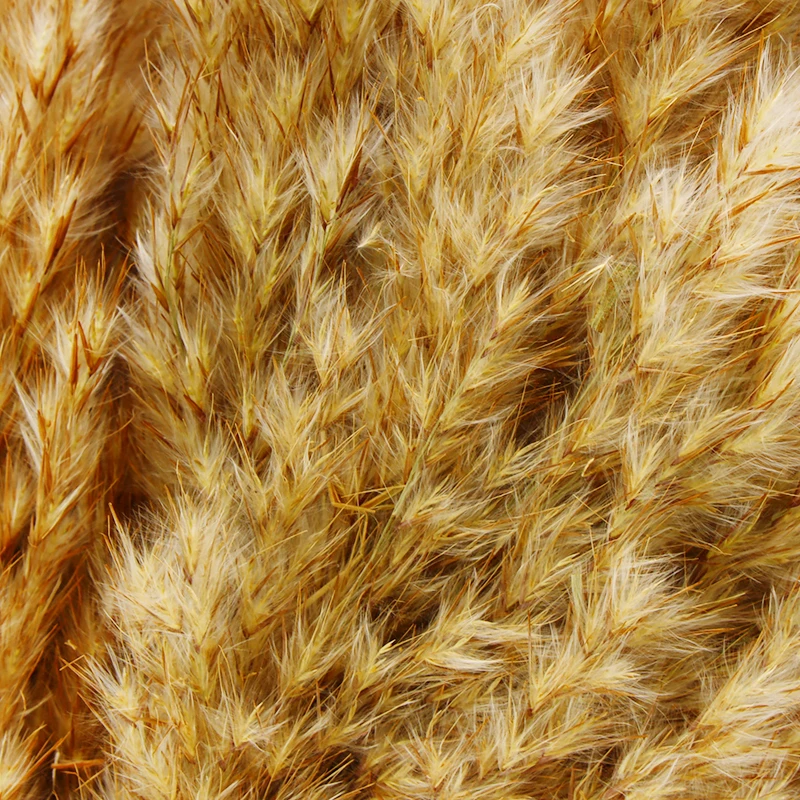 Натуральная сушеная трава пампасы фрагмиты связка свадебных цветов для