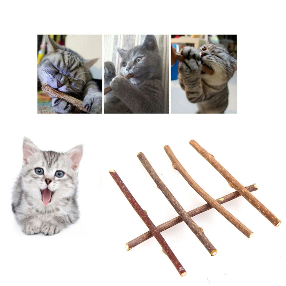 Новые 5 шт/упаковка/10/20 штук чистая натуральная кошачья мята кошка игрушка