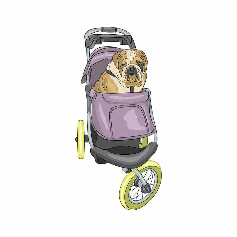 

English Bulldog Car Sticker Accessories Vinyl PVC 13cmx6cm Motorcycle Waterproof Windshield Car Window Car Styling Decal