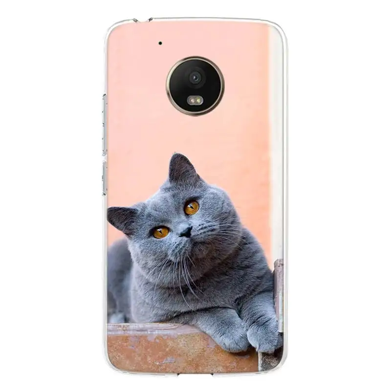 Чехол для телефона с британским котом короткого замыкания Motorola Moto G9 G8 G7 G6 G5S E6 E5 Plus
